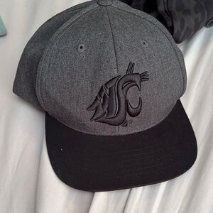 Gray and Black Logo Baseball Cap